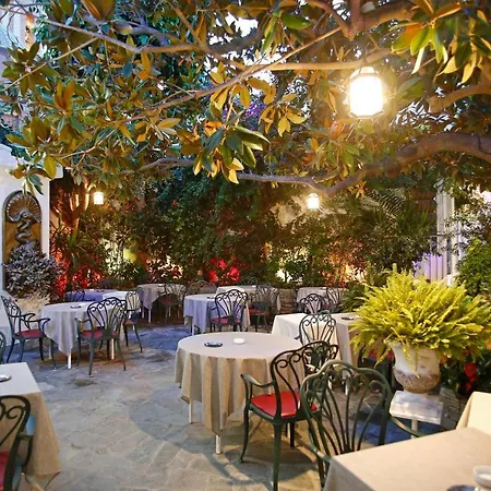 Le Magnolia Calvi (Corsica)